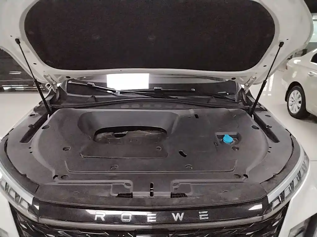 Roewe RX5 MAX 2022 2022 1.5T Auto Promising Premium Edition