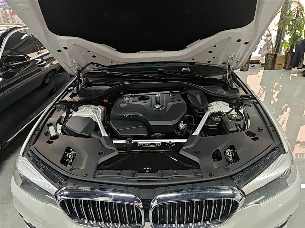 BMW 5 Series 2020 525Li Luxury Package фото 20