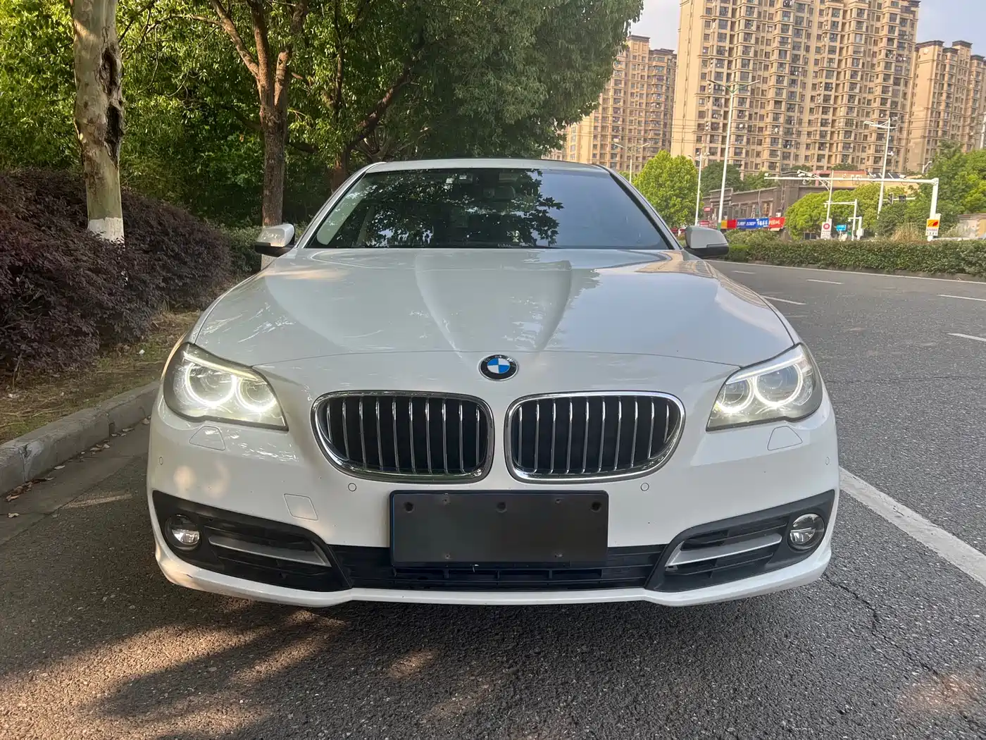 BMW 5 Series 2014 525Li Leading фото 2