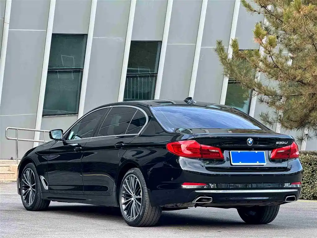 BMW 5 Series 2020 Model 530Li Executive Luxury Package фото 13
