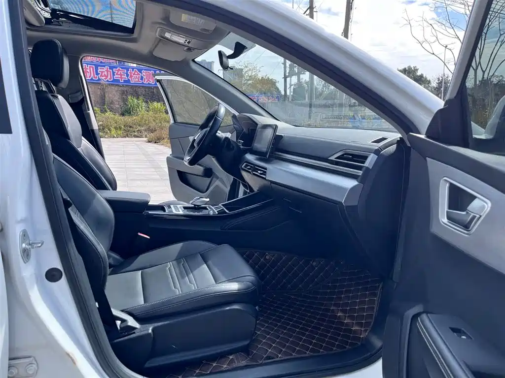 BYD Qin New Energy 2019 Long Range Luxury Edition фото 10