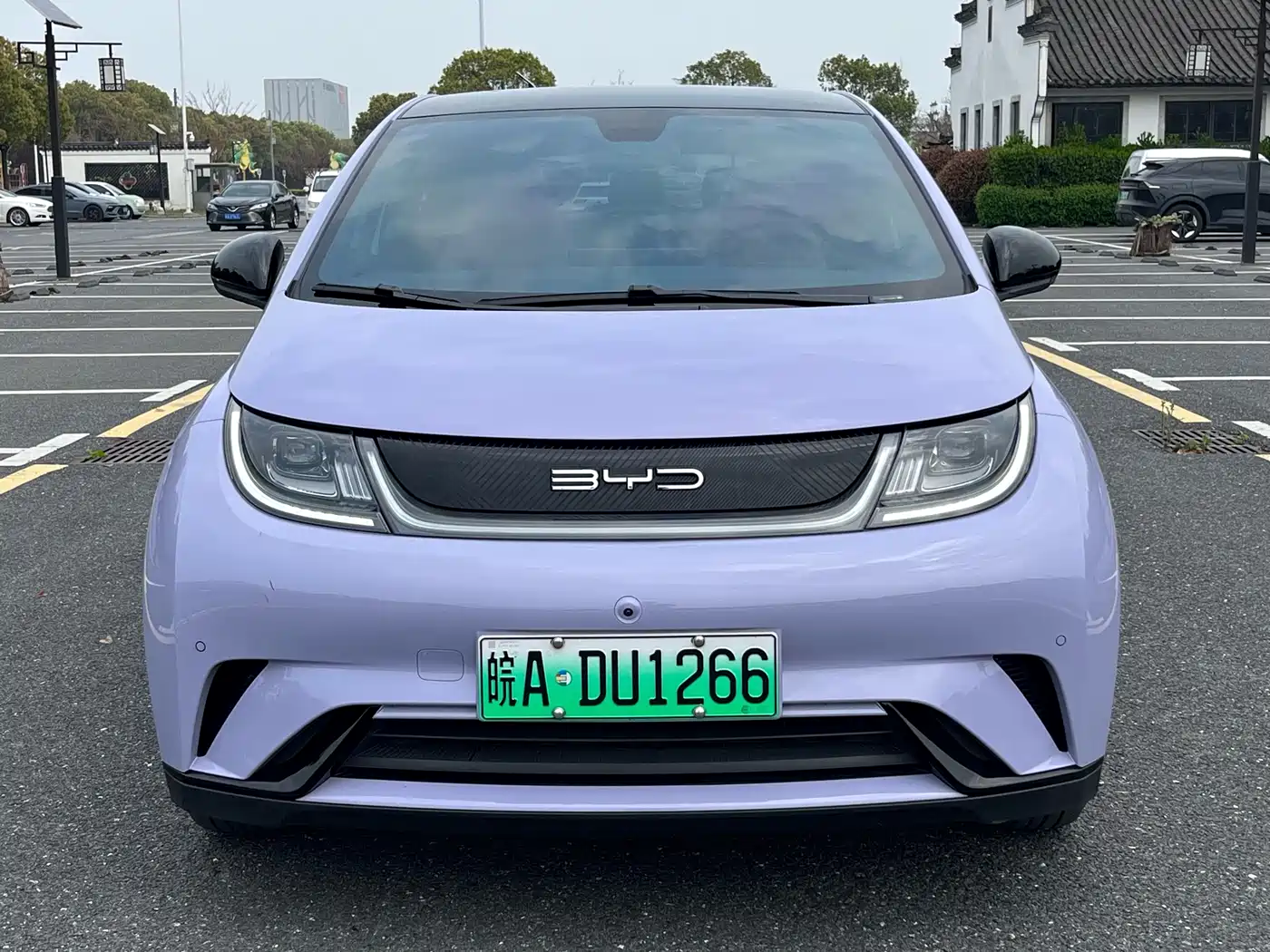 BYD DOLPHIN