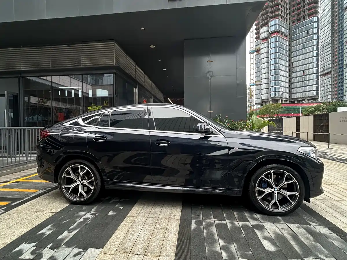 BMW X6 2021 Facelift xDrive40i Premium M Sport Package фото 4