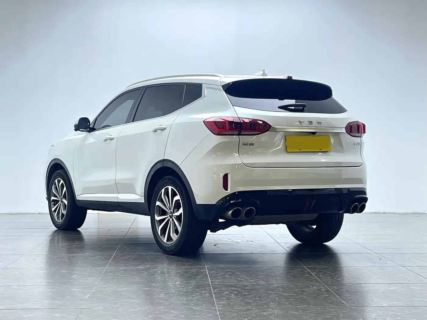 WEI PAI WEI BRAND VV6