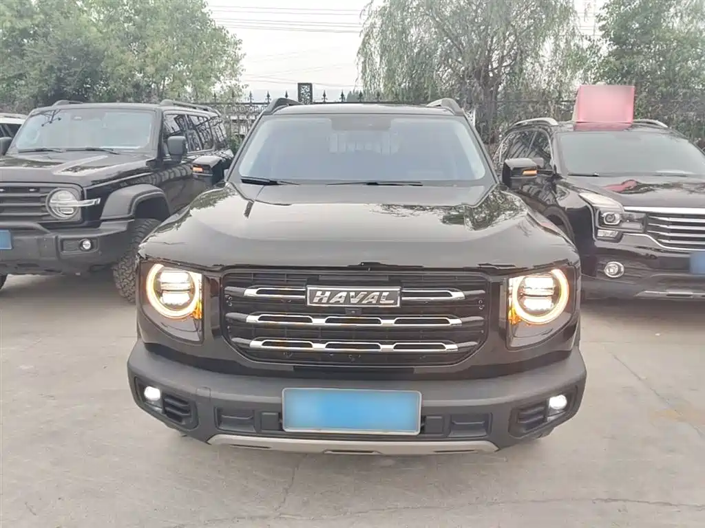 Haval Big Dog 2022 1.5T DCT FWD Labrador Edition фото 3