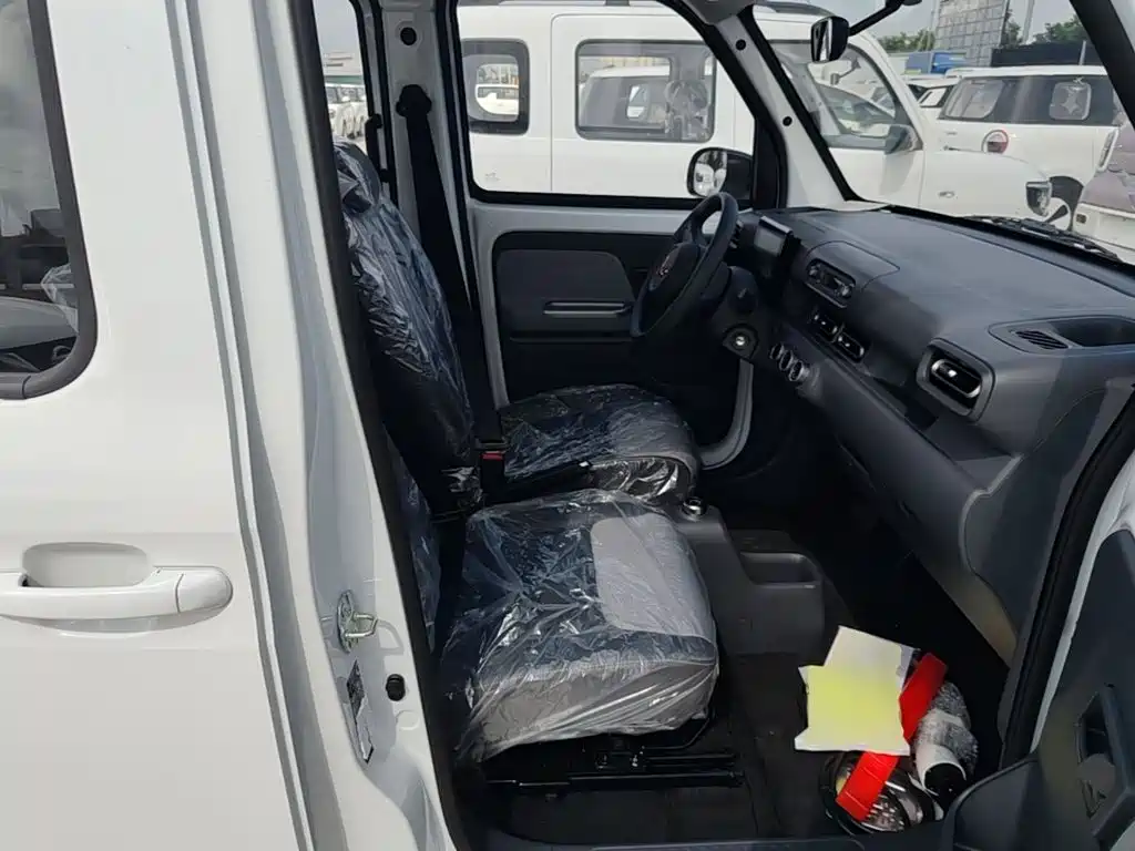 Wuling Motors Wuling Zhiguang NEV 2026 2025 Model 305km Base Version