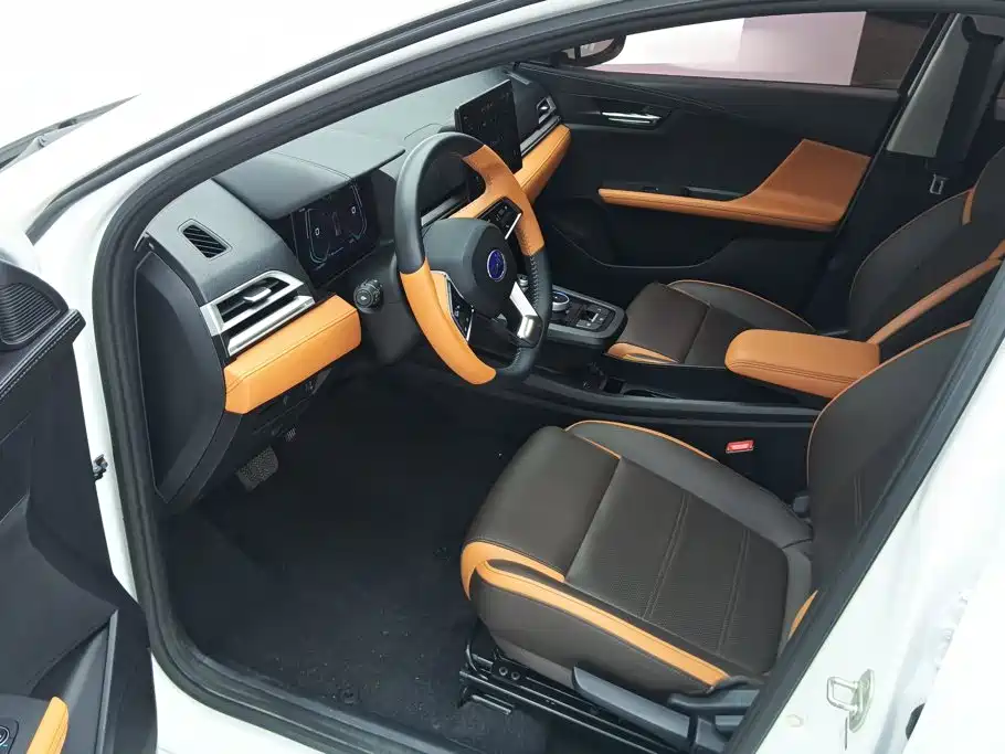 BYD e2 2021 2021 Luxury Edition