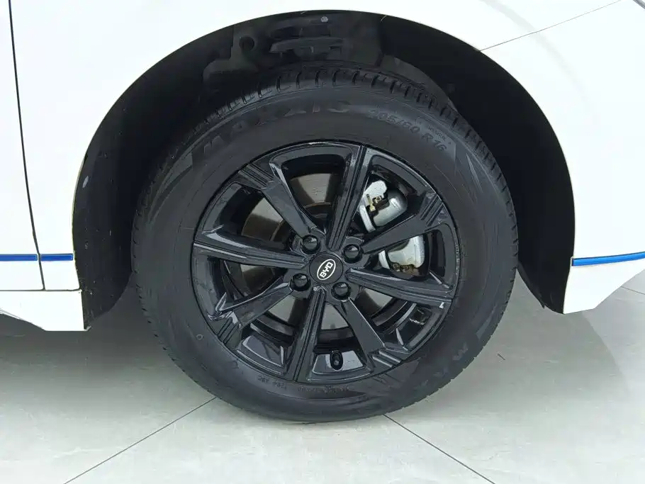 BYD e2 2021 2021 Luxury Edition