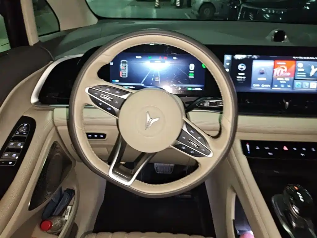 Voyah Auto Voyah Dreamer 2024 PHEV Extended Range Flagship Edition фото 3