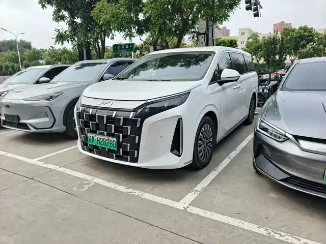  BYD BYD M9 2025 Model 1060 Pilot Edition