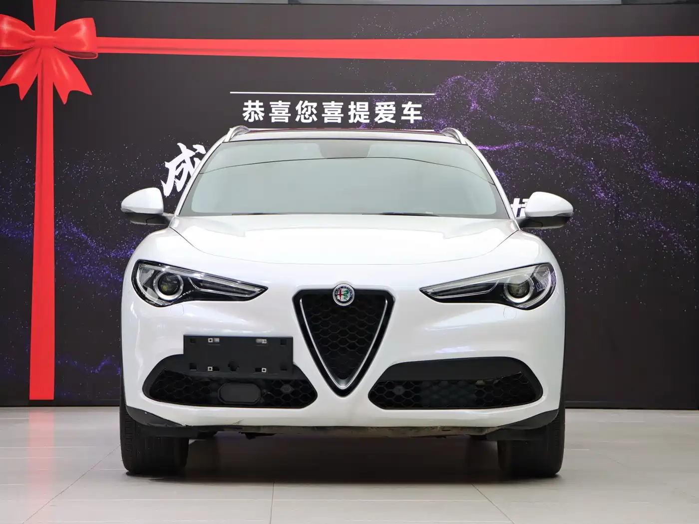 Alfa Romeo Stelvio 2019 2017 2.0T 280HP Luxury