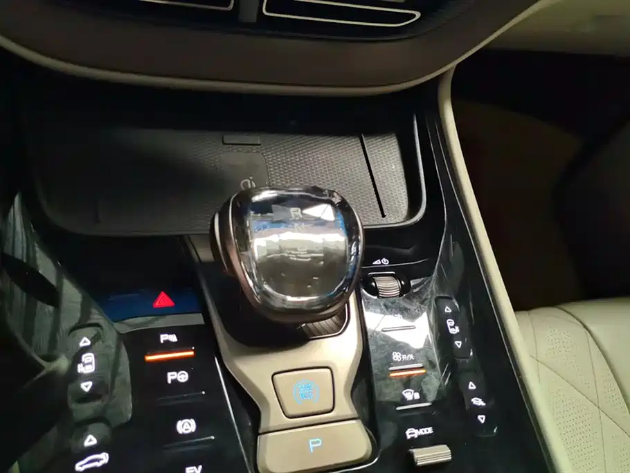 Denza D9 2022 DM-i 970 AWD Flagship фото 16
