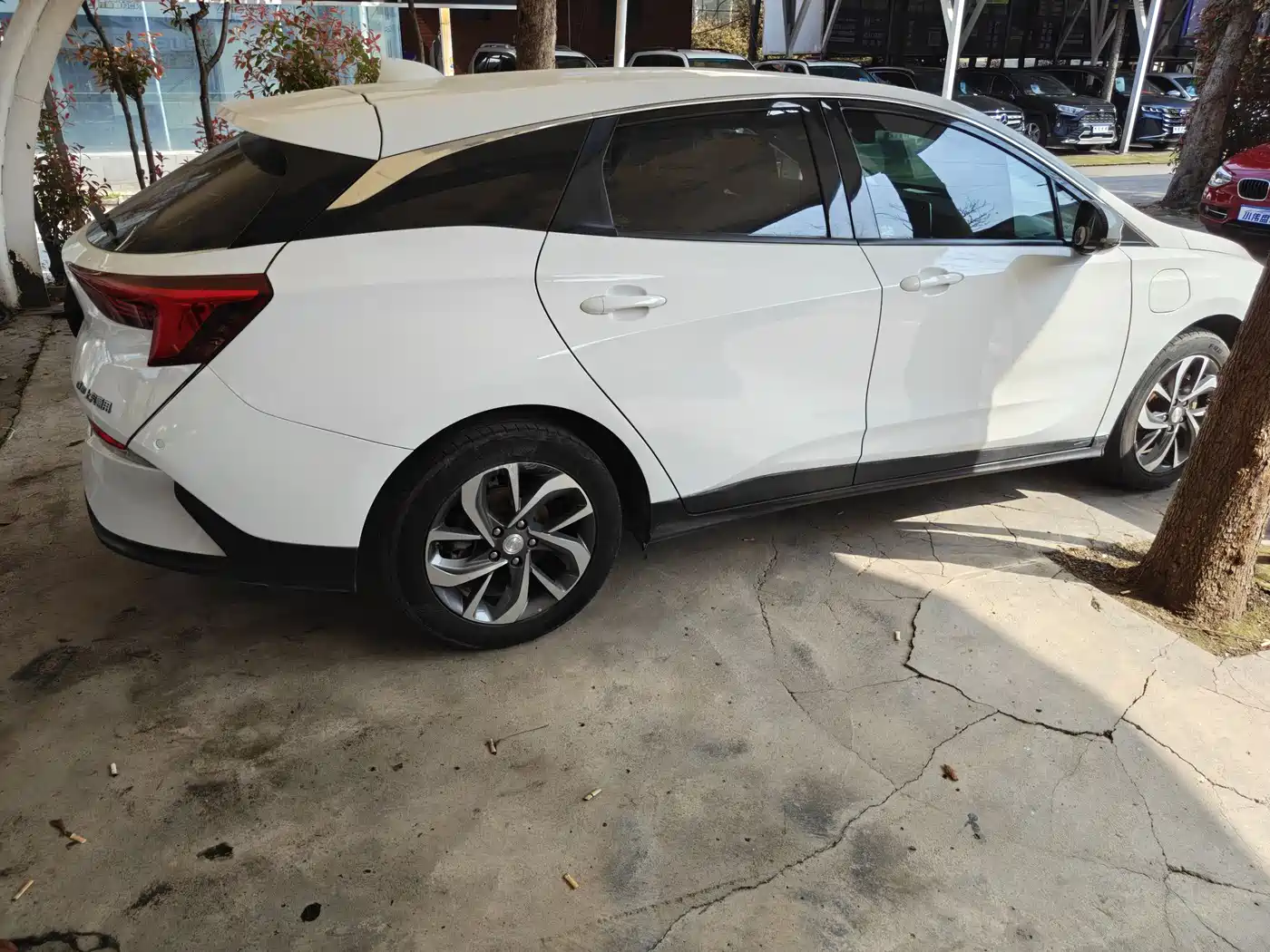 BUICK SLIGHTLY BLUE 6