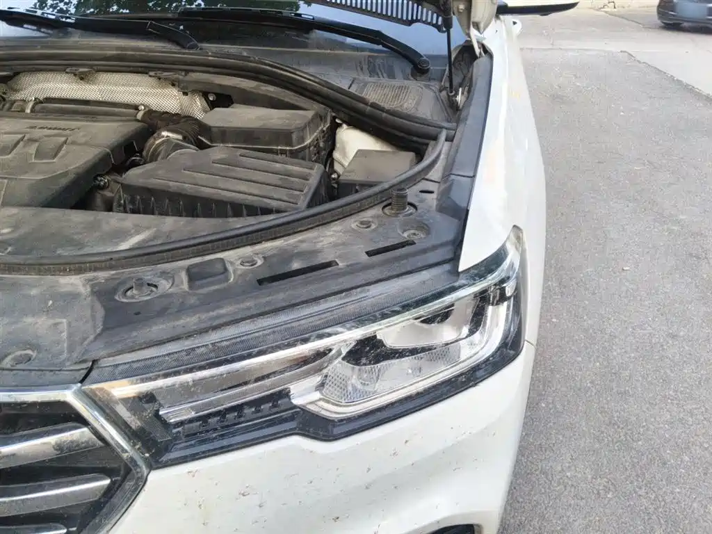 Haval H7 2018 Blue Label H7 2.0T Automatic Joy Edition фото 22