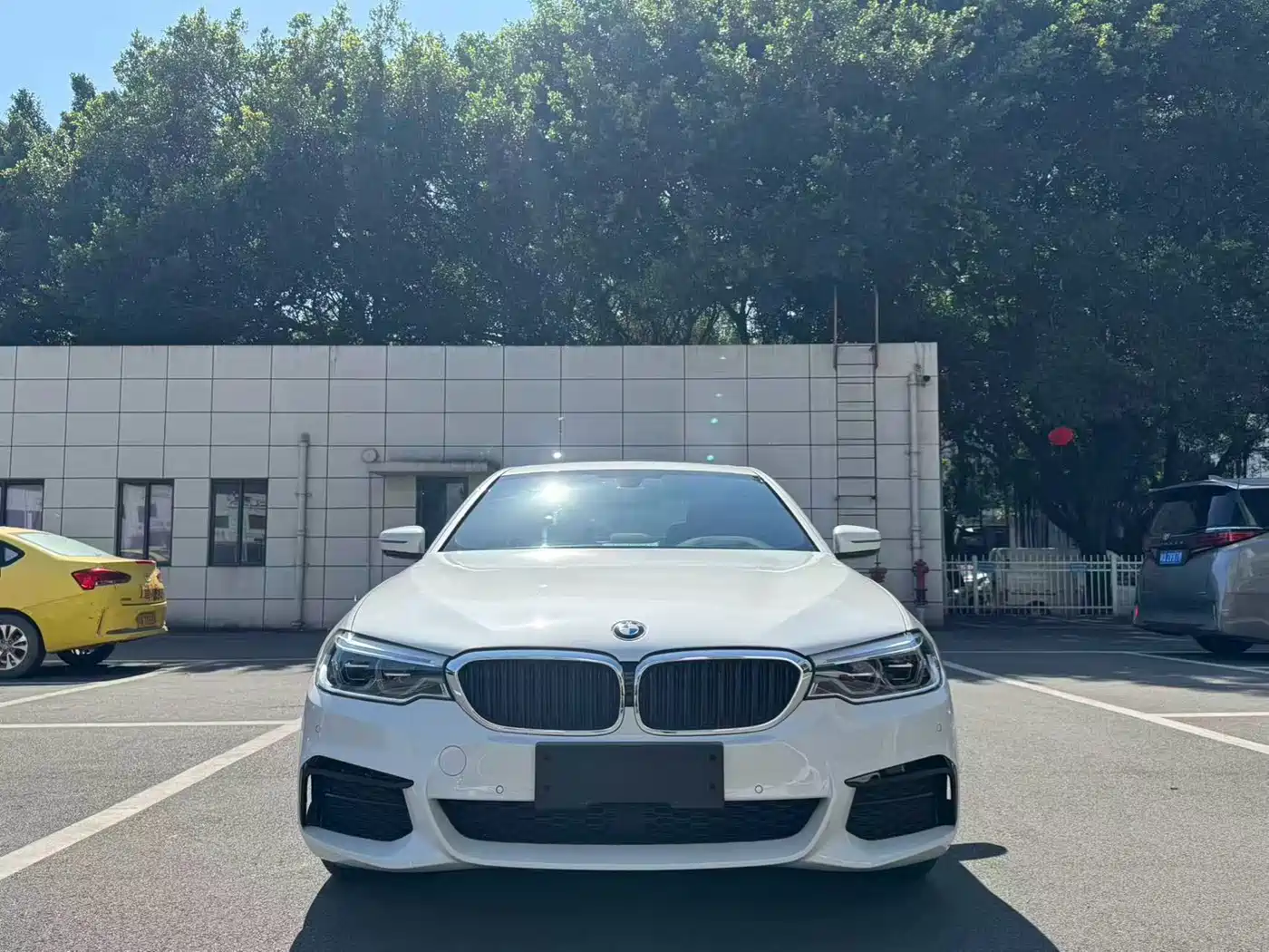 BMW 5 Series 2019 530Li Premium M Sport Package фото 2