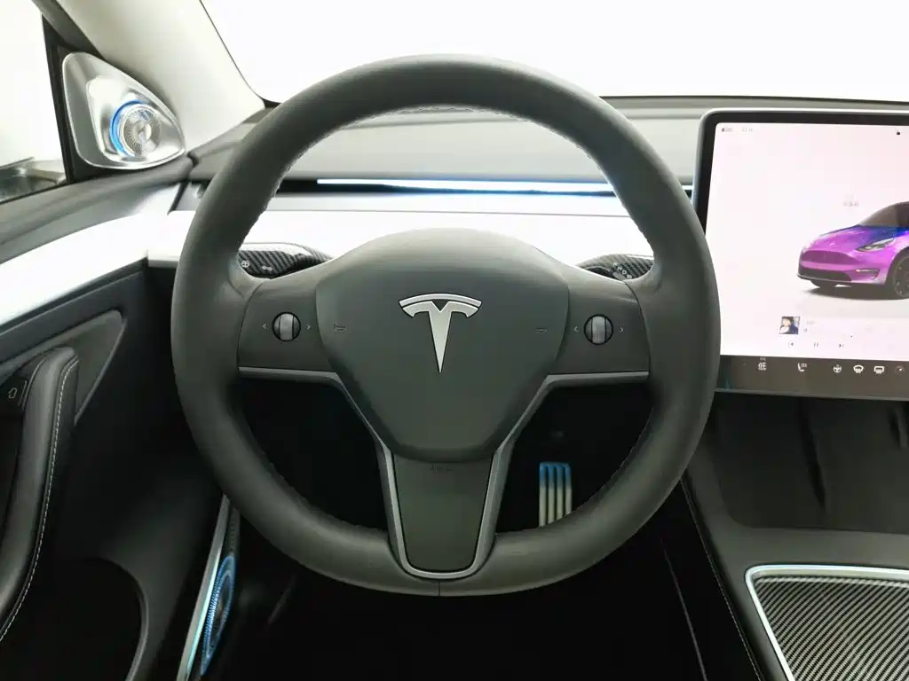 Tesla Model Y 2021 2021 Performance High-Performance AWD