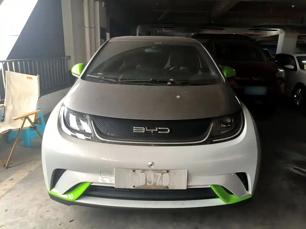 Фото 3 - BYD Dolphin