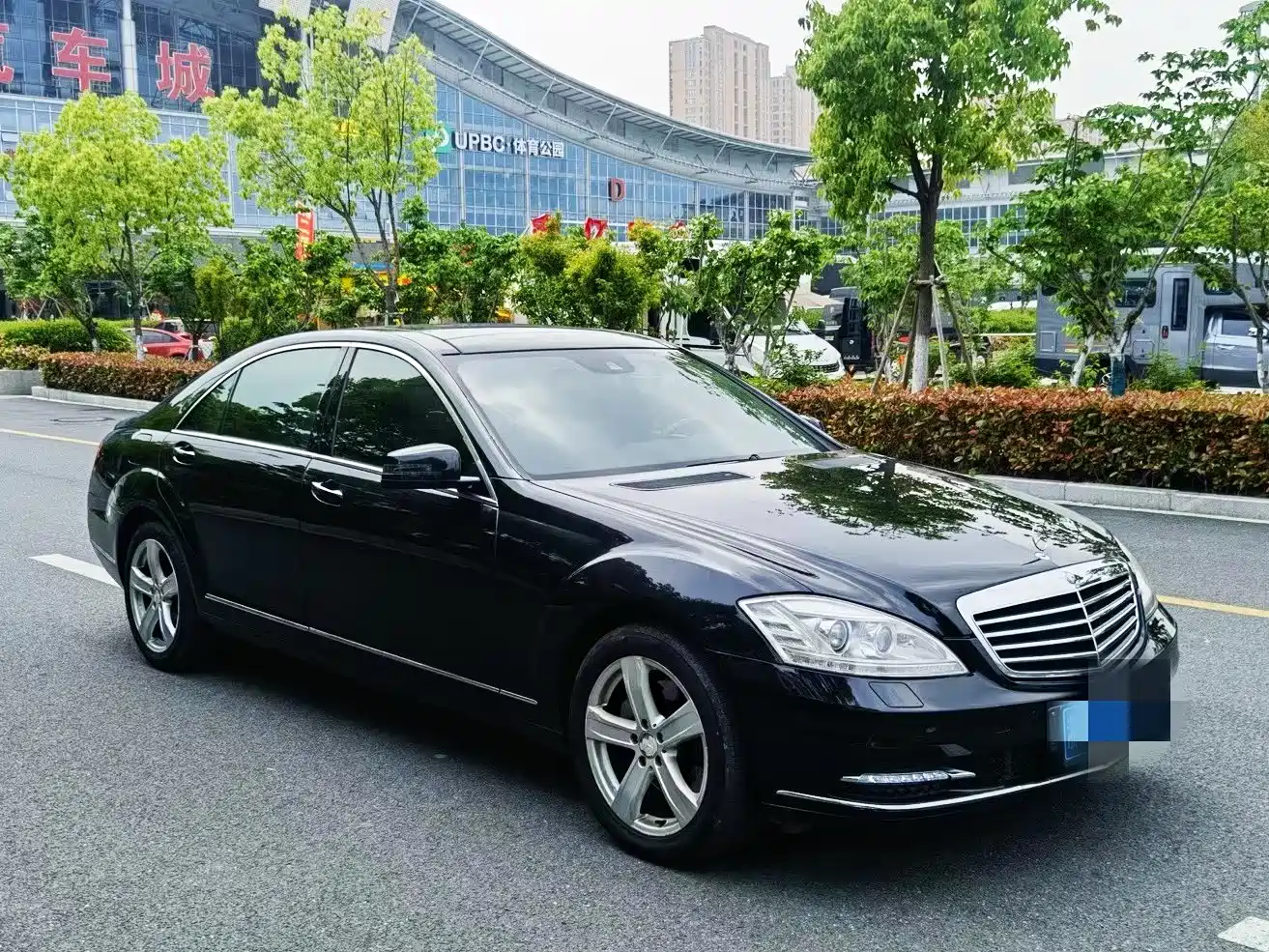 Mercedes-Benz S-Class 2010 S 300 L Luxury фото 2