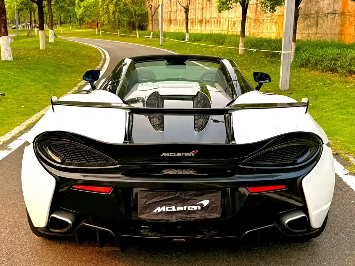 McLaren 570 2019 570S 3.8T Spider фото 15