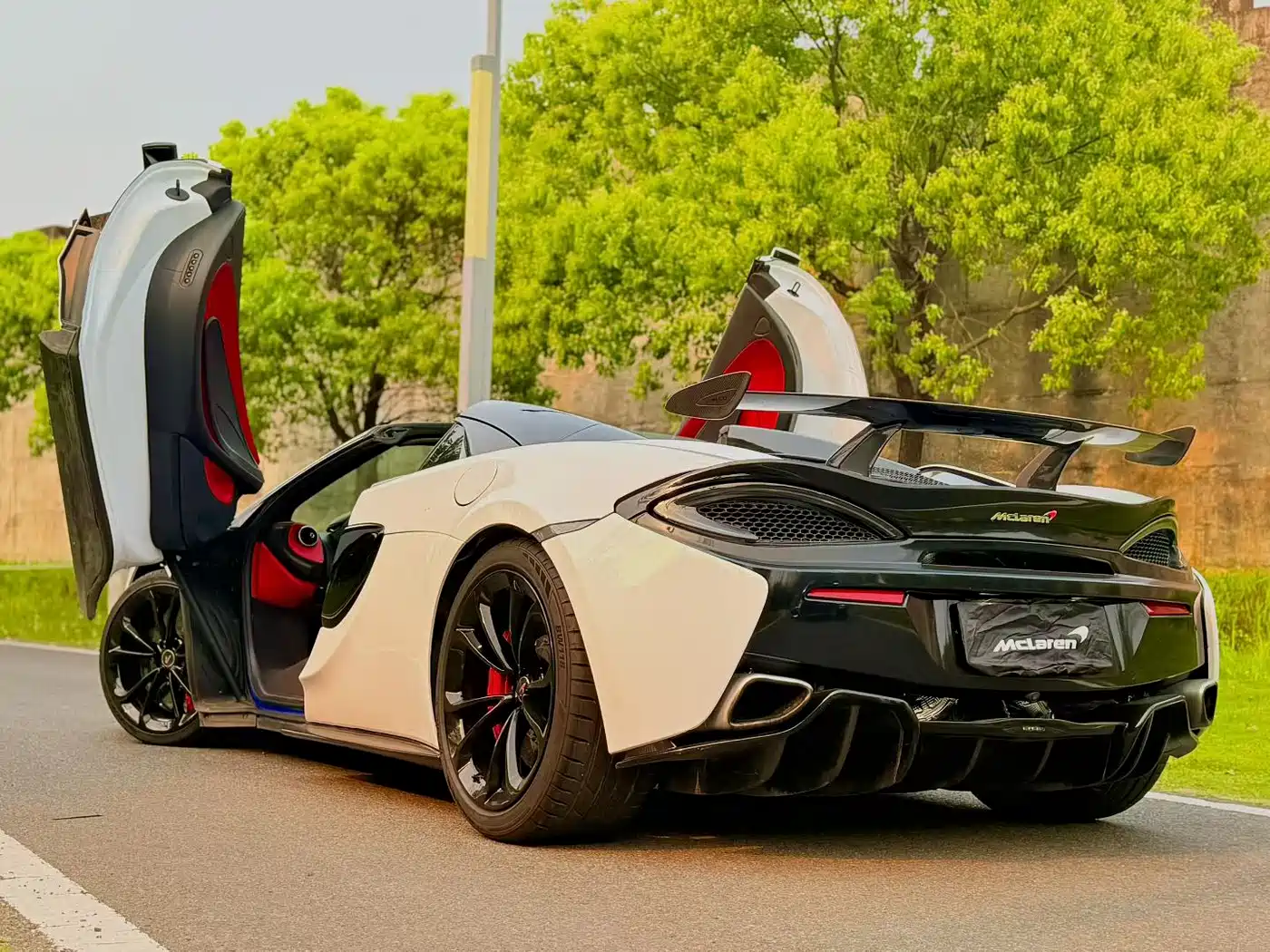 McLaren 570 2019 570S 3.8T Spider фото 14