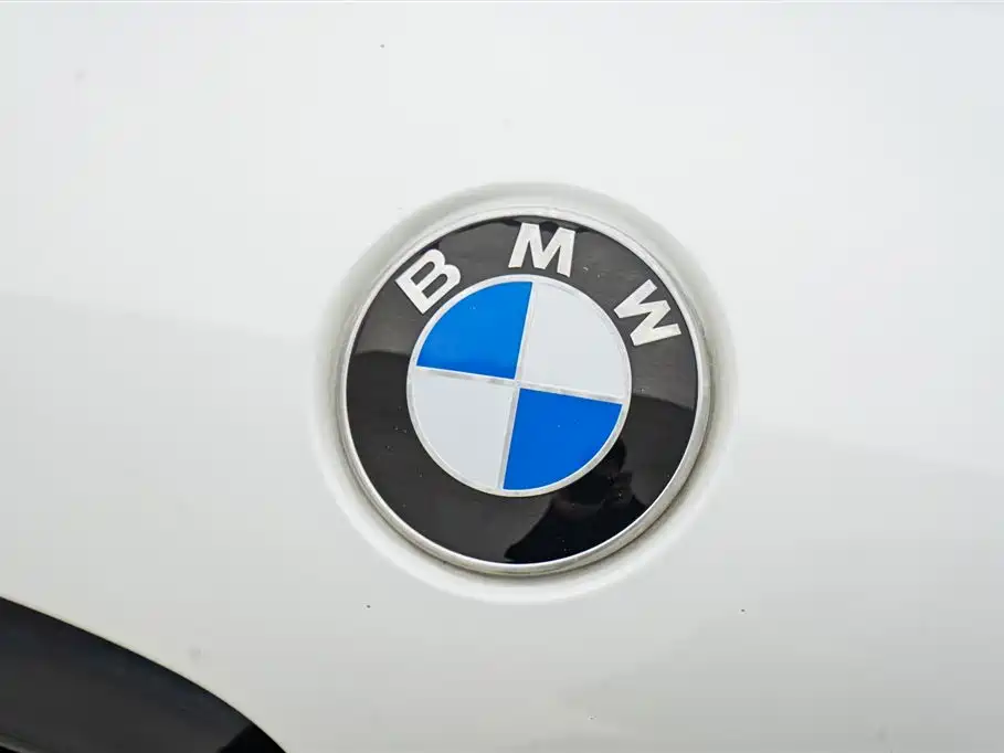 BMW 5 Series 2019 Facelift 530Li Leading M Sport Package фото 9