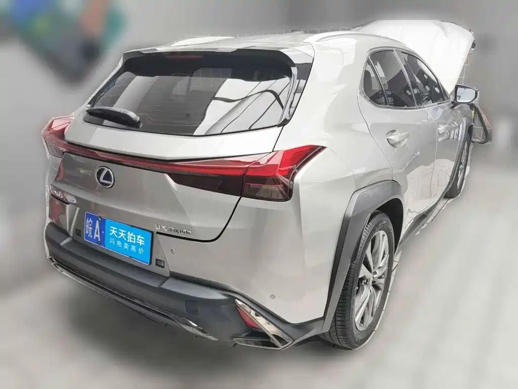 Lexus UX 2019 2019 260h F SPORT Edition (China V)