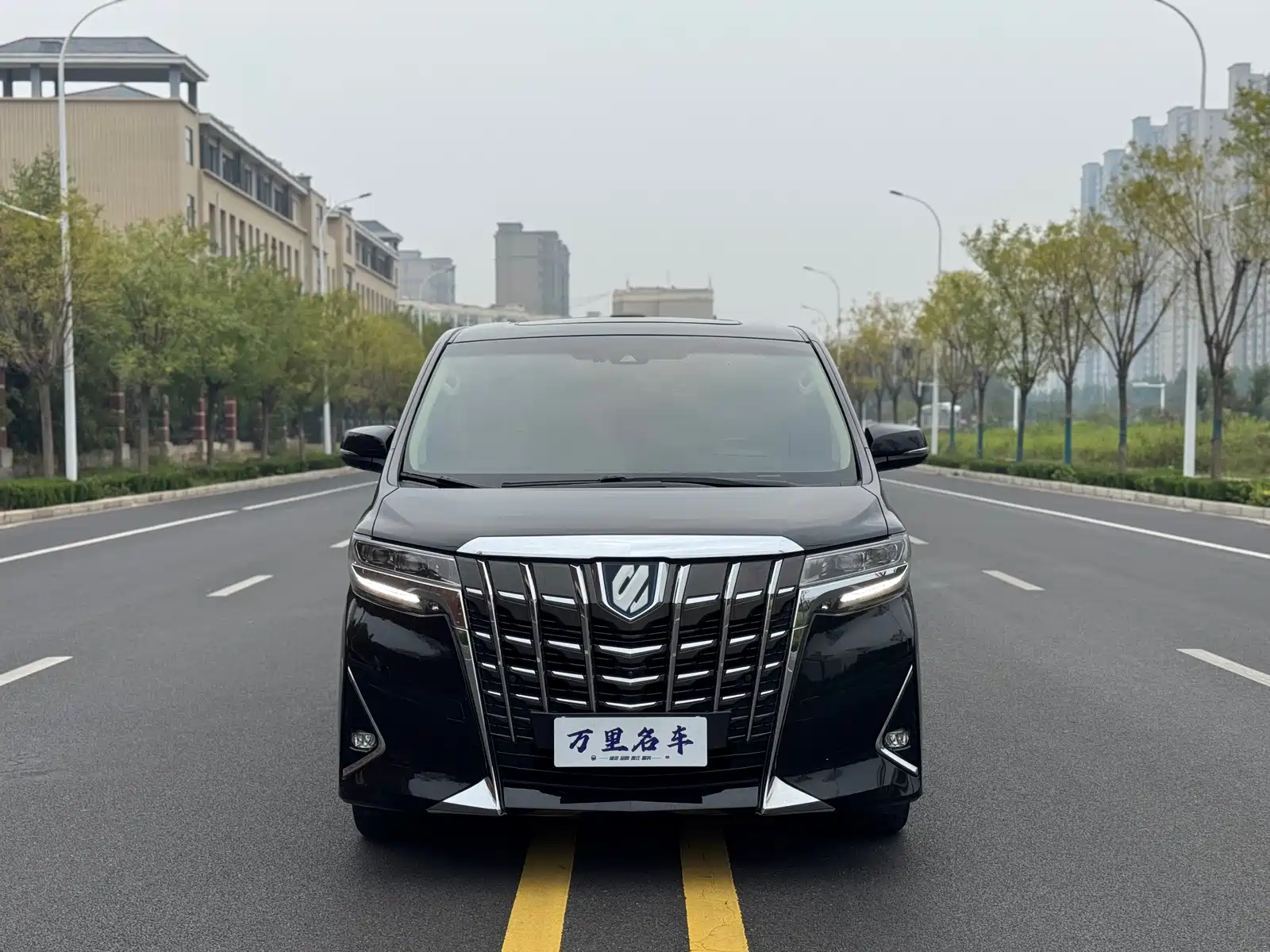 صورة 2 - Toyota Alphard