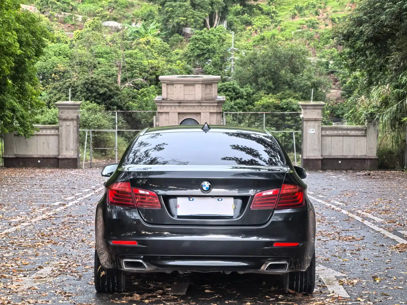 BMW 5 Series 2015 535Li Leading фото 7