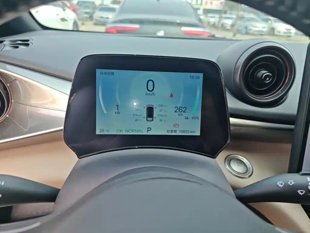 BYD Dolphin 2025 2025 420km Freedom Edition