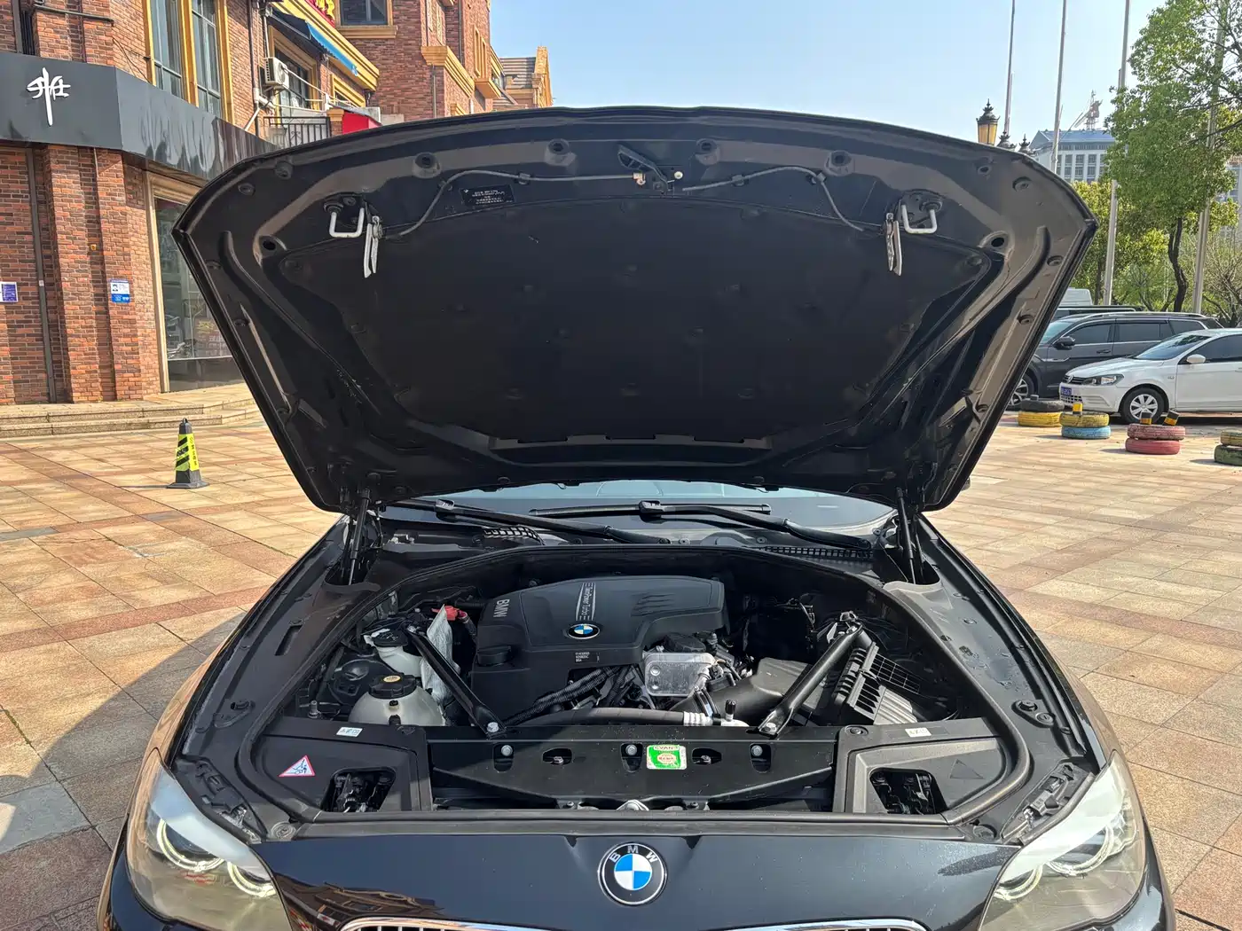 BMW 5 Series 2013 525Li Luxury фото 19