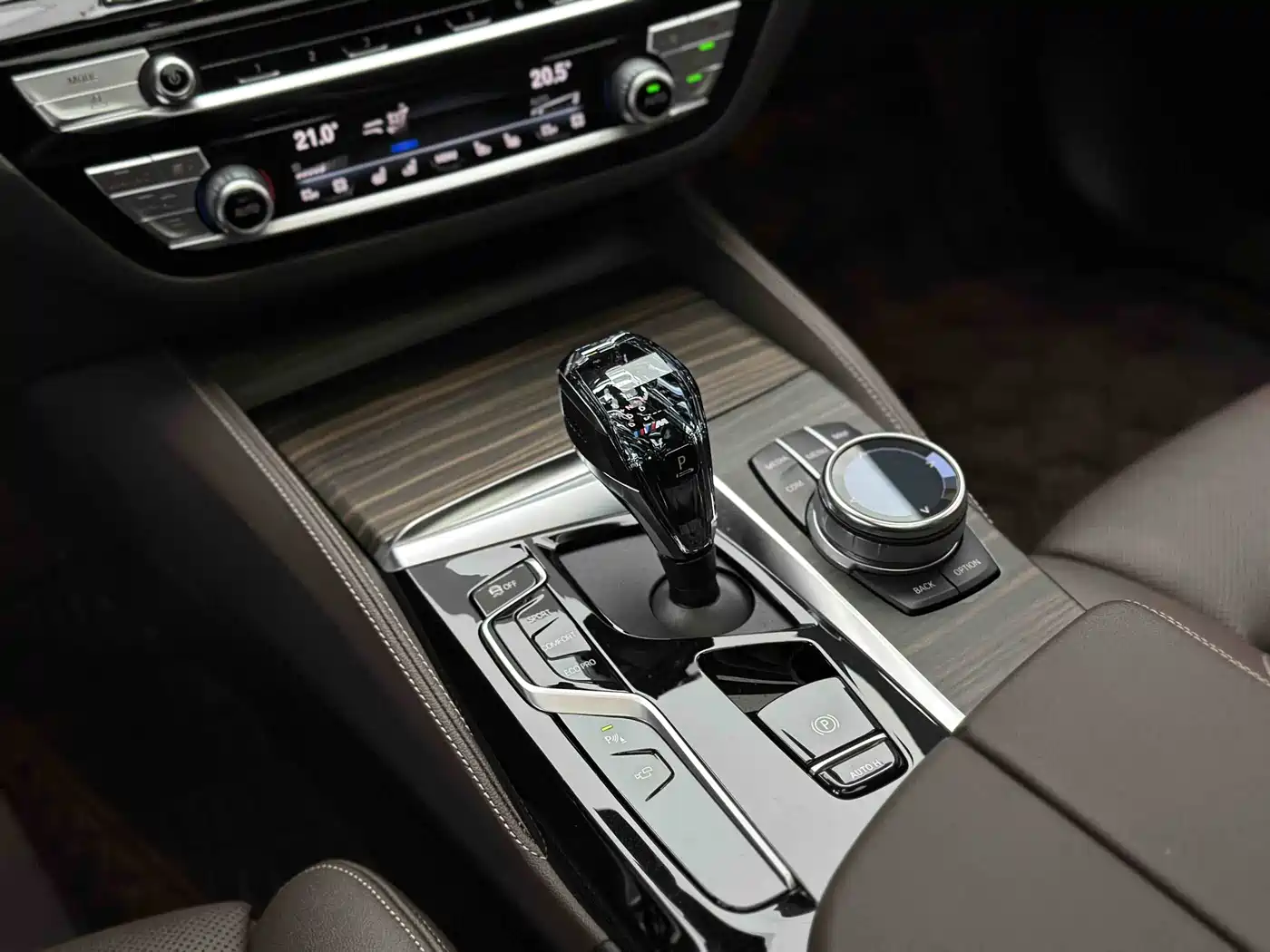 BMW 5 Series 2021 530Li Premium Luxury Package фото 6