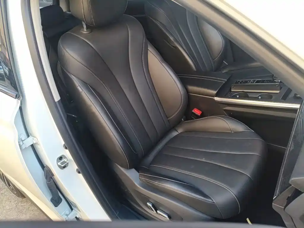 صورة 25 - Roewe RX5 eMAX