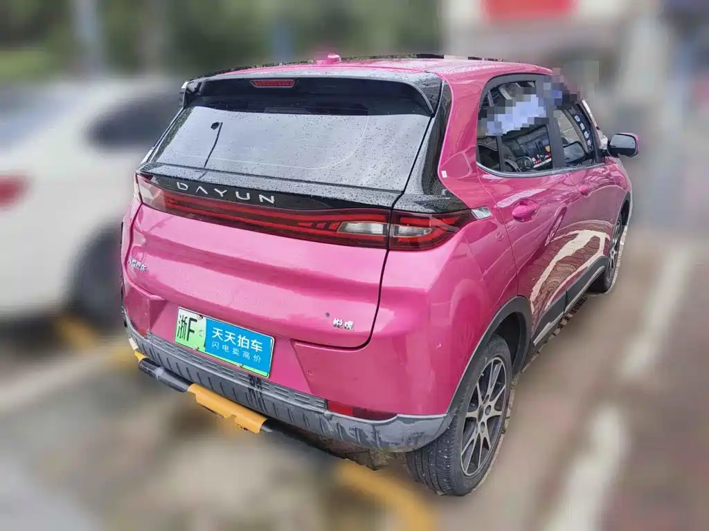 Dayun Yuehu 2022 2021 32.85kWh 2WD Elf Edition
