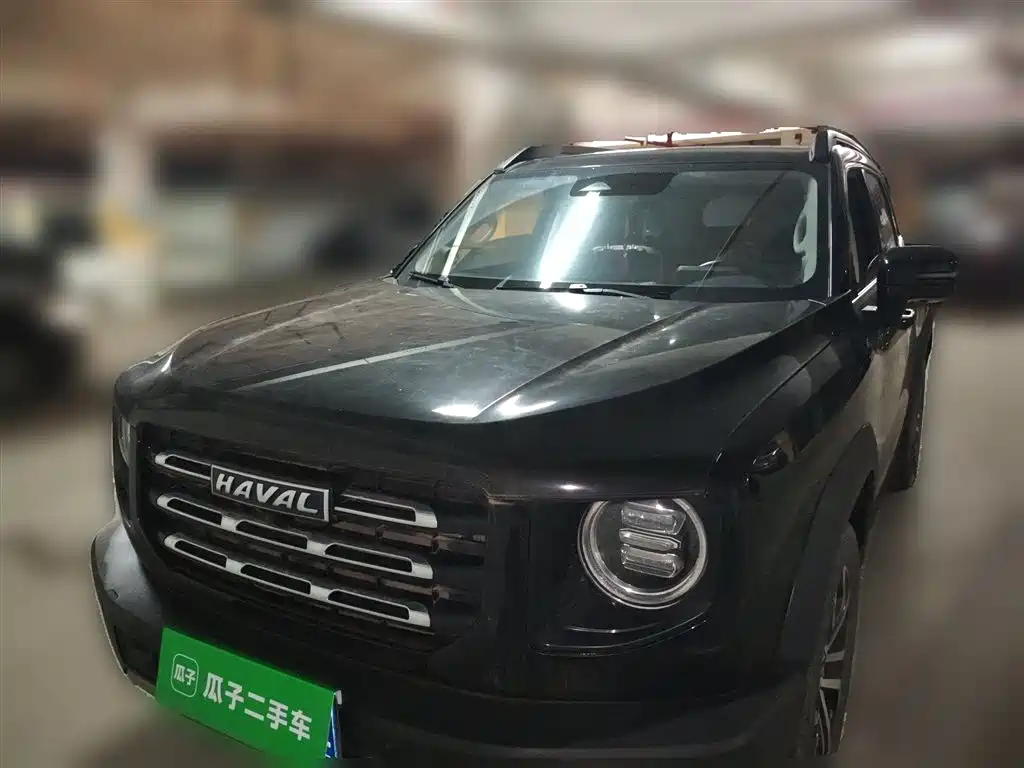 Haval Big Dog 2022 1.5T DCT FWD Border Collie Edition фото 24