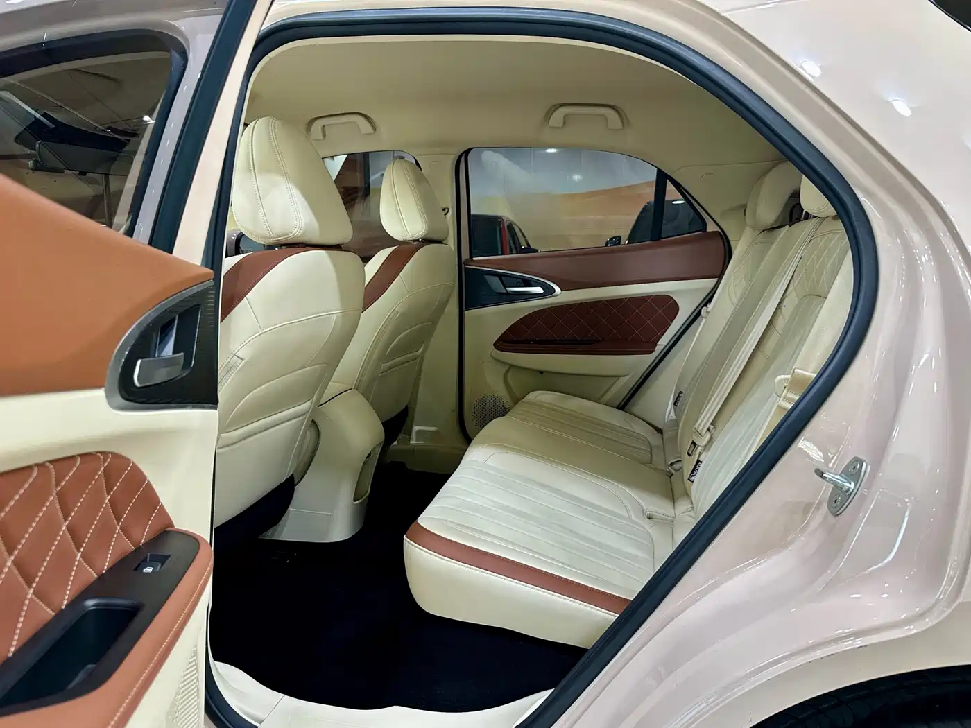 Ora Good Cat 2024 2023 401km Standard Range Luxury LFP
