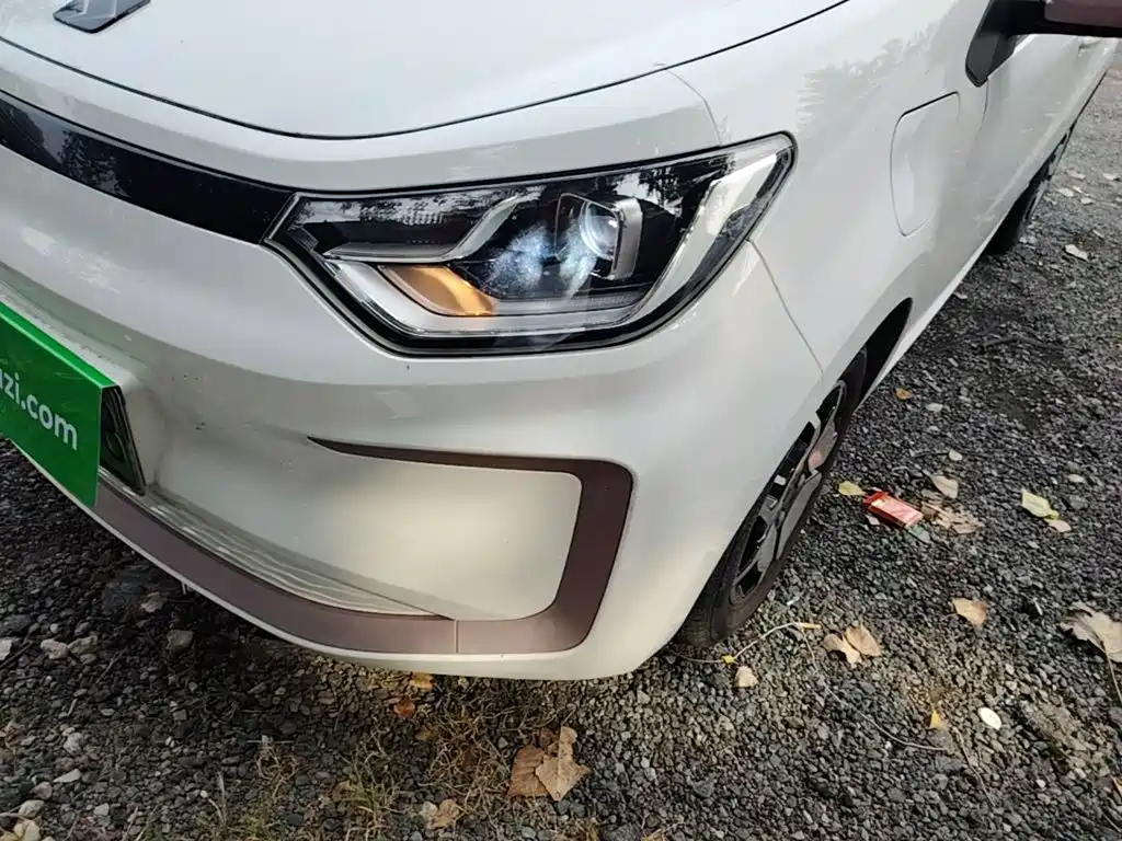 Sehol Flower Fairy 2021 2021 302km Luxury Edition 31.4kWh