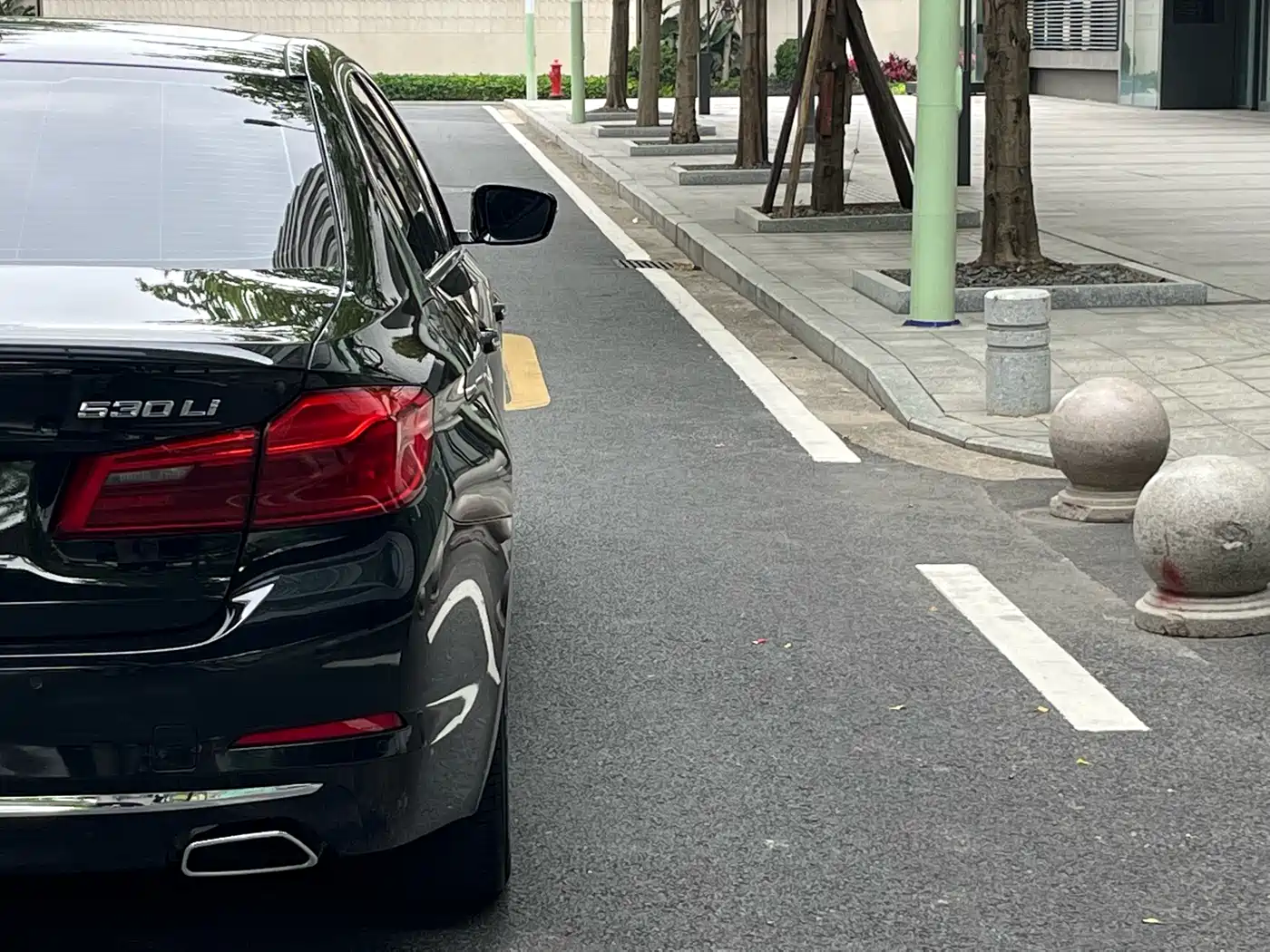 BMW 5 Series 2018 Facelift 530Li Leading Luxury Package фото 8