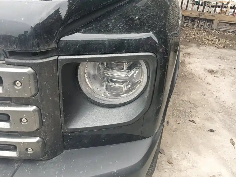 HAVAL RAPTORS NEW ENERGY