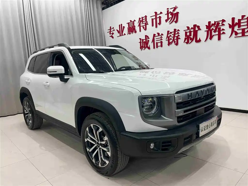 HAVAL BIG DOG