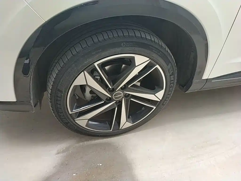 Roewe RX5 MAX 2023 2022 1.5T Auto Promising Luxury Edition