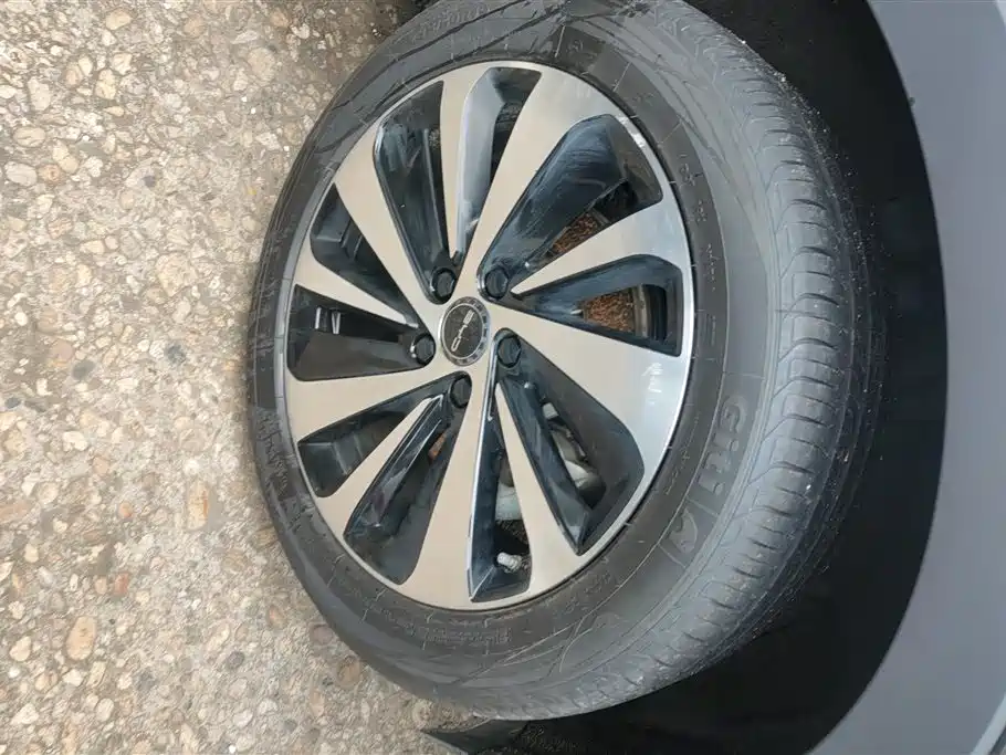 BYD SONGJIANG NEW ENERGY