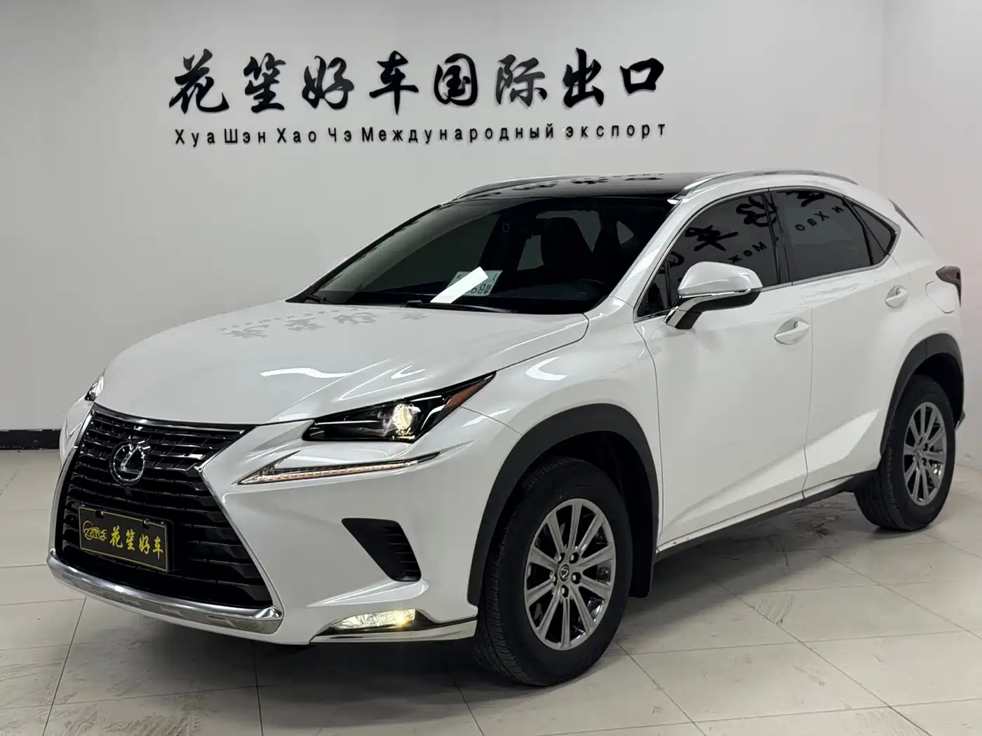 LEXUS NX