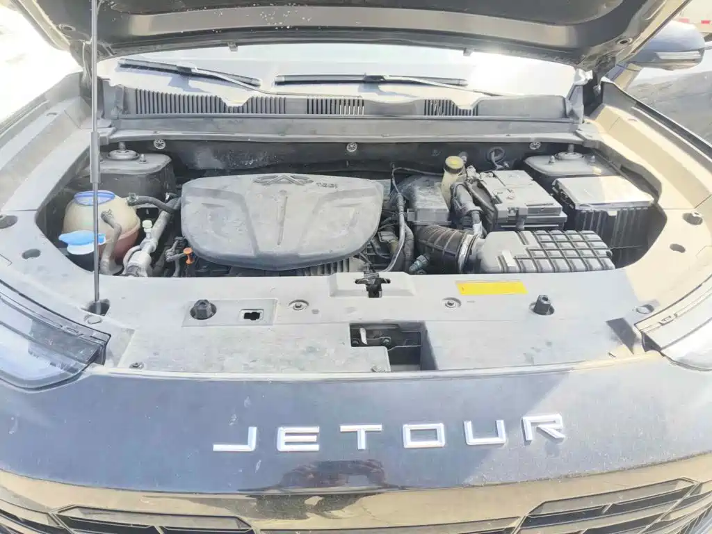 Фото 3 - Jetour Dashing