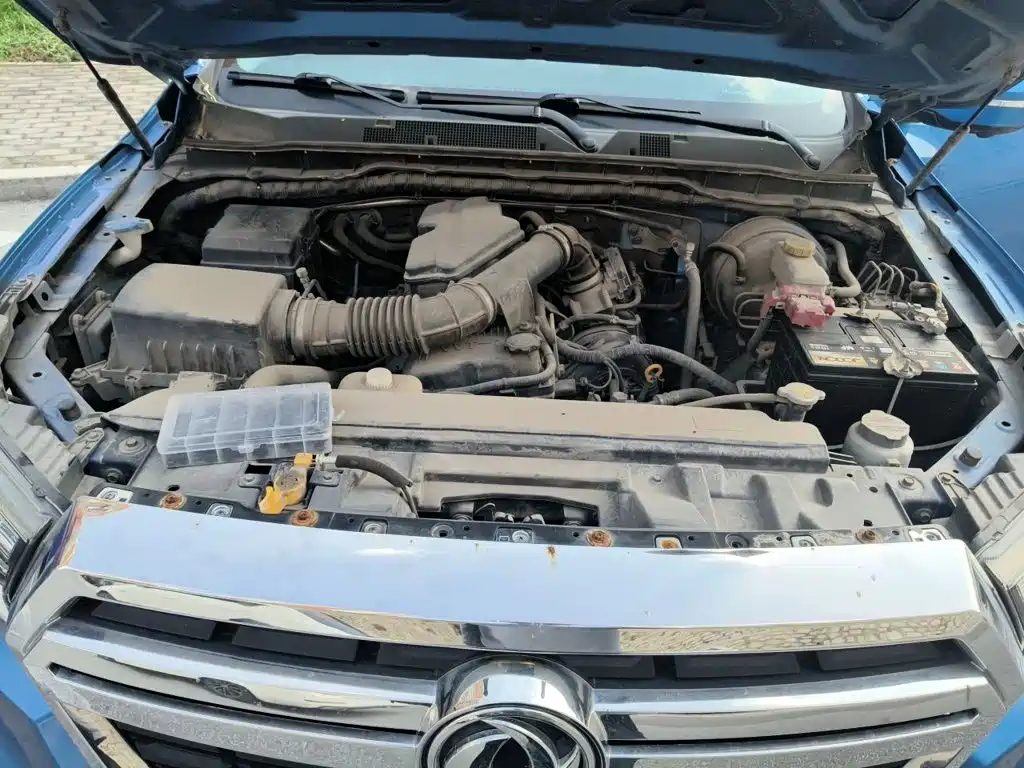 Dongfeng Rich 6 2019 2019 2.4L Manual 2WD Gasoline Luxury 2TZD