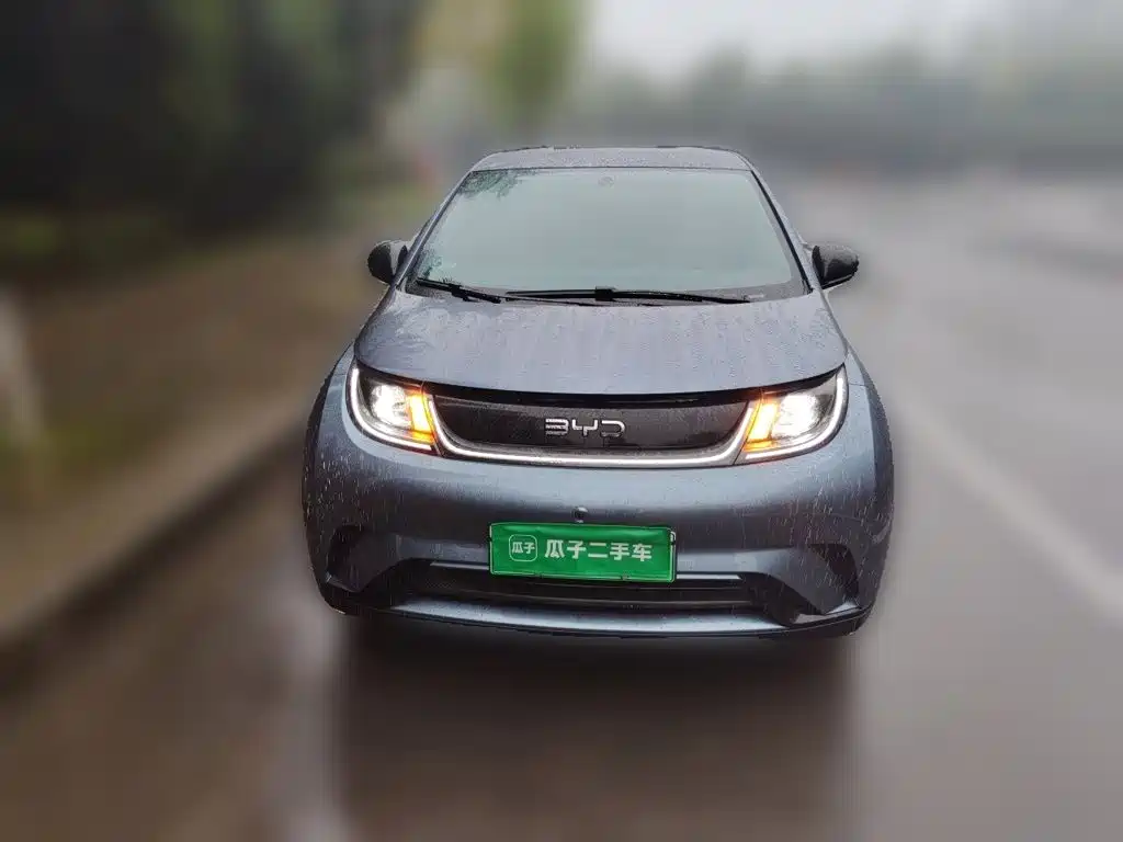 Фото 2 - BYD Dolphin