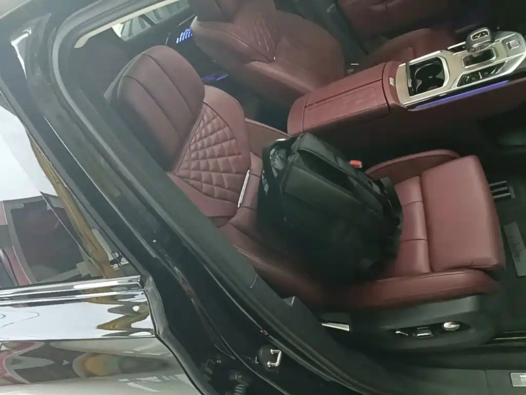 Фото 25 - Hongqi E-HS9