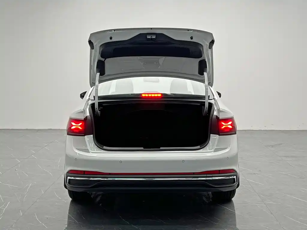 Photo 11 - Volkswagen Sagitar