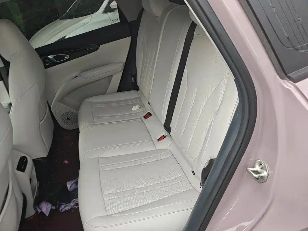 Geely Galaxy Starry Wish 2026 2026 Model 310km Dream Edition