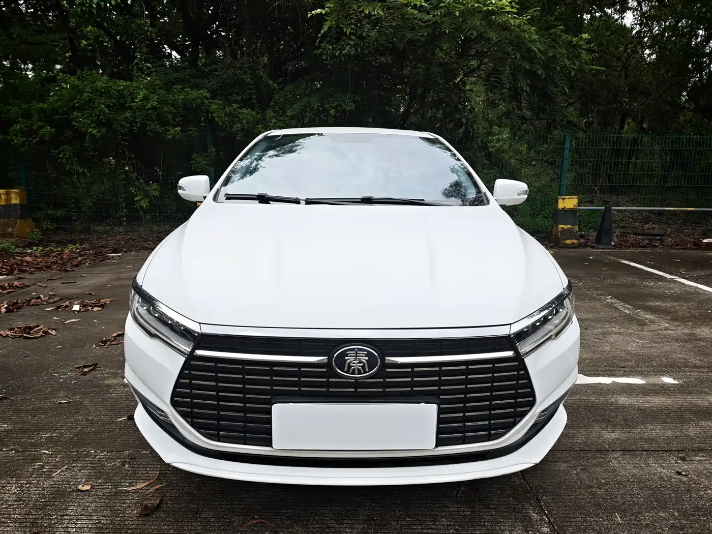 BYD Qin New Energy 2021 2019 Travel Edition