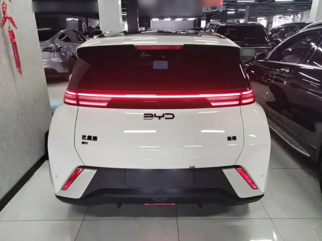 Фото 6 - BYD Seagull